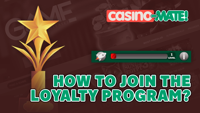 How to participate in the VIP program Casino Mate - instruction